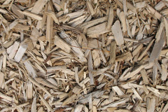 biomass boilers Eisgein